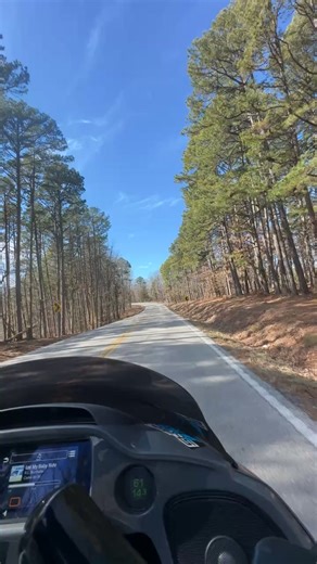 The Ornery One on Reels