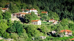 Ζαρούχλα: Το ορεινό χωριό της Αχαΐας που είναι πνιγμένο στα έλατα | Athens Magazine