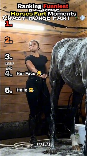 Ranking Funniest Horse Fart Moments 😂