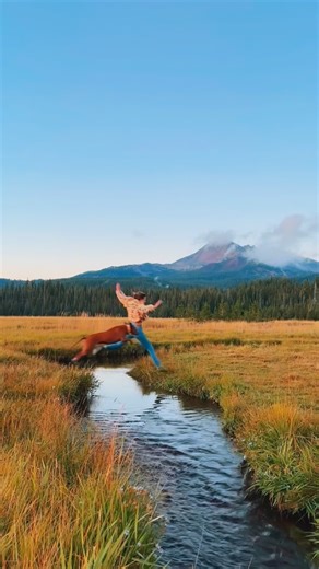 Baloo the Bunny Eared Bully 🐾 on Instagram: "8 years ago today, I brought home the best thing that’s ever happened to me. Today marks 8 years with my dream side kick, my partner in crime, my best friend in the whole wide world. 8 years watching him grow, learn, and become the best dog in universe. 8 years growing our bond each and every day. Every adventure, every lesson, every milestone. I haven’t spent over a week of my entire adult life without him by my side. You’ll always find him next to 