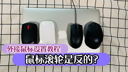 苹果电脑鼠标滚轮方向是反的？MacBook鼠标滑动方向设置方法教程