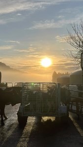 That time of year again on the farm! Been enjoying the sunny weather @nzfarming | Clarke Boys Hunting NZ