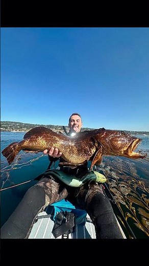 Spearing a MASSIVE 40” Lingcod in Monterey, California | 4K