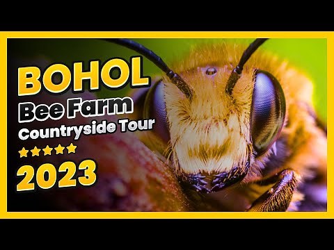 Bohol Bee Farm Tour | Full Bohol Countryside Tour | Bohol 2023