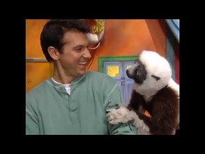 Zoboomafoo S02E08 Powerhouse