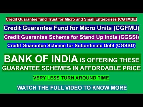 Complete Guide to CGTMSE, CGFMU, CGSSI & CGSSD Schemes. MSME Loan Benefits, Eligibility & Coverage.