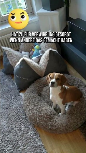 Hunde Tutorial "Leise Wuff"