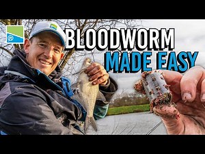 Bloodworm Fishing Made EASY! | with Lee Kerry | Hallcroft Fishery