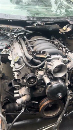 LS1 Removal, no suspension drop