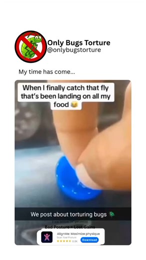 @bugsvideosonly on Instagram: "Some people prefer natural solutions over chemical products when dealing with insects. A mixture of vinegar and dish soap, for example, can kill soft-bodied pests like aphids on contact. Essential oils like peppermint or tea tree oil are also used to repel insects, though they may not always kill them. These methods are eco-friendly and generally safer for indoor use."