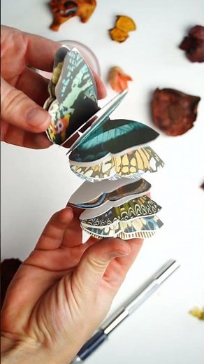 VINTAGE Butterflies Come Alive in THIS Miniature Accordion Book!