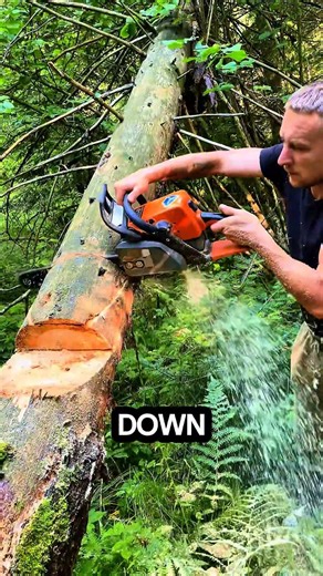 creativity of lumberjacks #logging #chainsaw #sawblade #treecutting