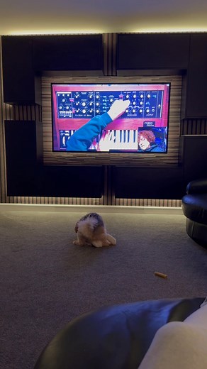 52 reactions · 8 comments | Really fancying a mini moog synth .. great tutorial ! | Paul Orwin | Facebook