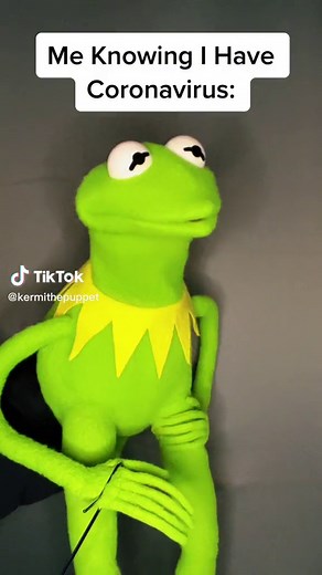 🗣️ ARE YOU READY !! #kermitthepuppet #viral #comedy #coronavirus ##memes##lol##haha##covid##covid19##kermitthefrog##misspiggy##kermit##muppets##theants