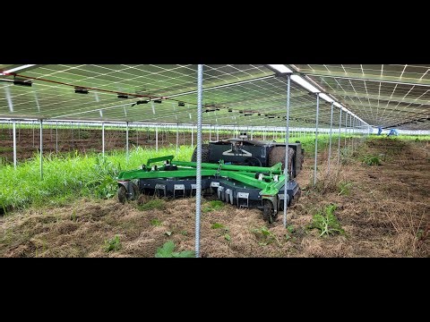 Autonomous Mowing Machine for Solar Parks (incl. PEG Solar) | Vector Machines