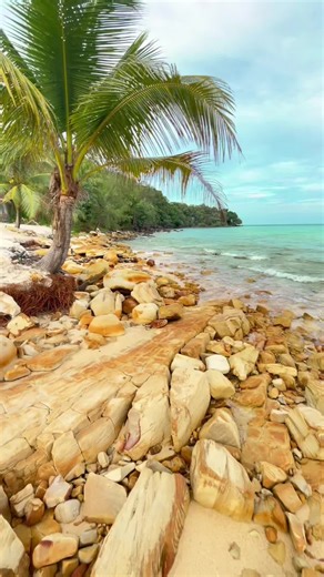 រដូវកាលដើរលេងកម្សាន្តតាមកោះ 🏝 👉 កក់សំបុត្រទូក: 078 36 3456 Telegram: https://t.me/patacctsakos 📍Google Maps: https://maps.app.goo.gl/3JQFuk8N3Nq6W2td6 ច្រកទី១ កំពង់ផែទេសចរណ៍ព្រះសីហនុ #cambodia #kohrong🌴 #fyp #កក់សំបុត្រទូកទៅលេងកោះ