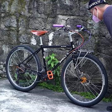 Surly Disc Trucker 2021 - Custom Build