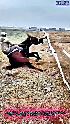 馬術調教における突発的スリップ転倒時の騎乗安全姿勢施工技術 #crafts #system #horsemanship #equine #safetyfirst