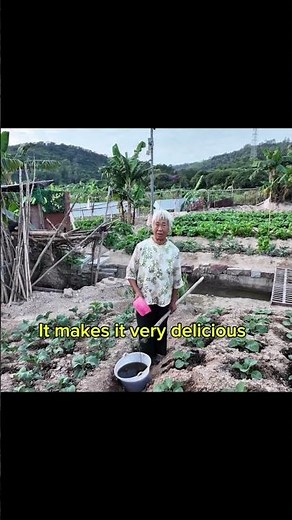 This Is How Local Farmers Grow Amazing Food in China 🌱🇨🇳 #ChinaFarm #RuralLife