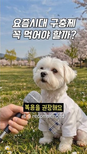 Should I take deworming medicine or not?
