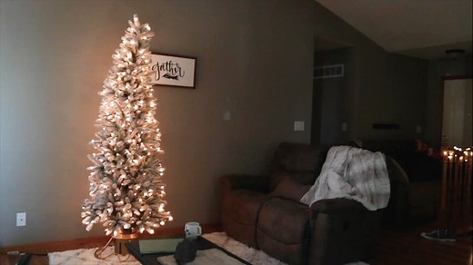 Watch Home Heritage Rotating Christmas Tree Stand on Amazon Live