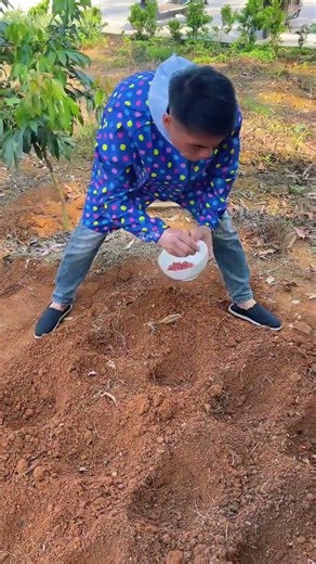 The Real Challenge of Farming: A Heartfelt Look Inside the Life of a Farmer