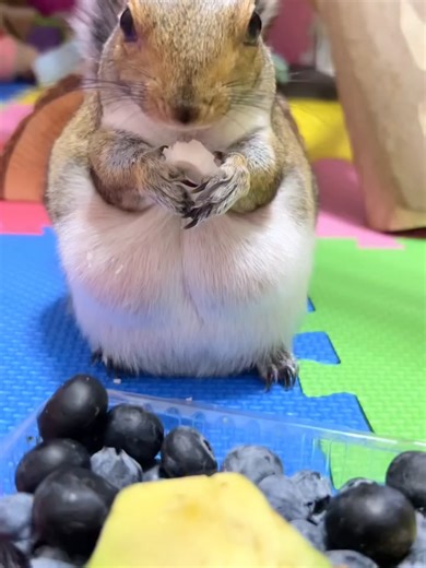 437.Always chooses with #grace 🌿🥥🥑🫐 • • • #eviepoohpooh #oneofakind #iloveyouforever #mylove #myforever #simplythebest #sweetlove #sweetchildomine #soulconnection #myheartandsoul #queenofmyheart #love #sq