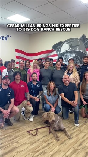 Cesar Millan Visits Big Dog Ranch Rescue
