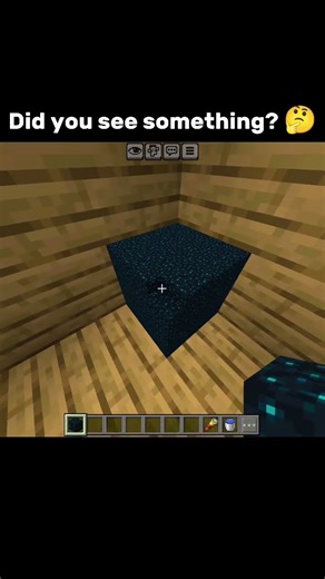 Sculk Block Ellusion Video!!! ☠️😎