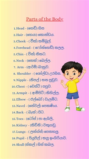 English Vocabulary | Basic Human Body Parts 👂🦶👍 #shortfeed #shorts #englishforbeginner