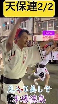 見入る本場 阿波踊り 天保連2/2徳島☆400年の歴史と伝統☆