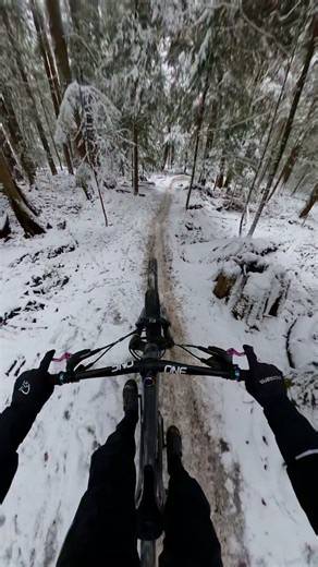 PROPAIN Bicycles North America on Instagram: "What’s your favorite terrain to ride? Comment below!"