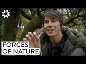 The Strange Physics Of Living Things, With Brian Cox
