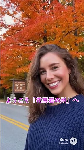 自由に生きよ! 素晴らしきニューハンプシャー州の魅力 🇺🇸 。消費税や所得税ゼロ。治安も良い! だけど風が強いの❄️【秒でわかるアメリカVol.29:ニューハンプシャー州】#shorts #sora2