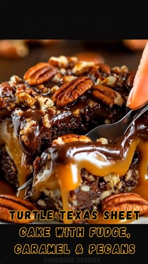 Turtle Texas Sheet Cake with Fudge, Caramel & Pecans 🍫🐢✨ Protein number: 7g | Protein: 7g A rich, ultra-moist Texas sheet cake loaded with crunchy pecans, drenched in silky fudge icing, and crowned with thick ribbons of caramel—just like the decadent, glossy slice in your photo. A true Southern showstopper! 🤤🔥 📝 Ingredients: ✦ All-purpose flour (2 cups) 🌾 ✦ Sugar (2 cups) 🍬 ✦ Cocoa powder (1/4 cup) 🍫 ✦ Butter (1 cup) 🧈 ✦ Boiling water (1 cup) 💧 ✦ Eggs (2) 🥚 ✦ Buttermilk or Greek yogur