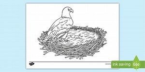 Eagle Nest Colouring Page