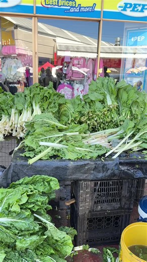 Harvesting Mustard Spinach for Your Garden