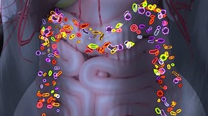 4K abstract animation of the gut microbiome
