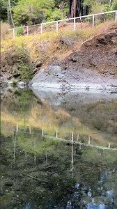 Austin Creek Cazadero, California live in the dream