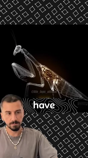 @truth.hunter.us on Instagram: "A real-life scene from the movie "Alien." 👽😱 Meet the horsehair worm, a parasite that literally hijacks a mantis's brain to force it into water. It’s a biological nightmare happening right in your backyard. Nature is scarier than fiction. 👇 Want to know how I make these viral videos? Link in bio. #nature #parasite #scary #science #alien"