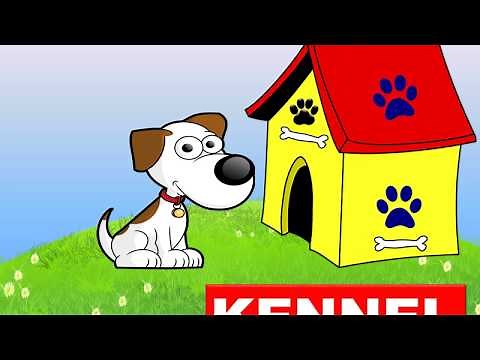 Animals Homes Names, Types - Lesson for Kids -Kindergarten,Preschoolers,Grade 1