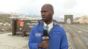 WATCH: Reporter sees bison, bails from live shot - East Idaho News