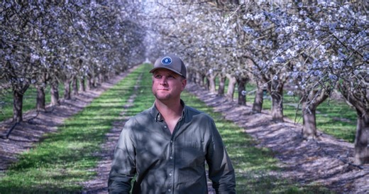 Organic farming faces headwinds, but these growers are committed for the long haul