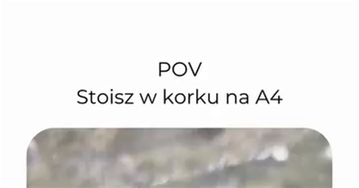 Chomik! Jaki, kurwa, fajny! - Video