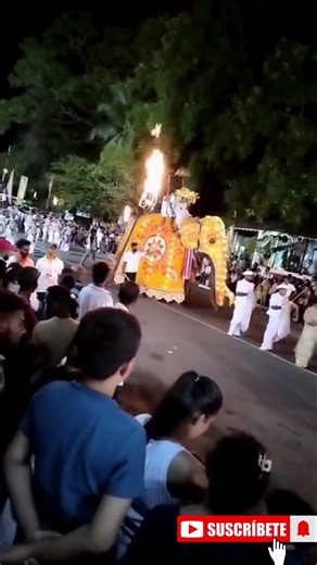 Best Scenes 🔥 Ridi Viharaya Perahera 2026 Highlights #Shorts