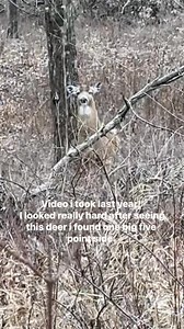 Dakota Pool on Reels