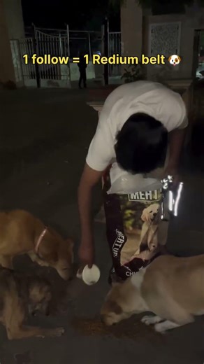 nice public ke liye dog 🐶🐕 caring with support me #nice #automobile #fetch #arrived