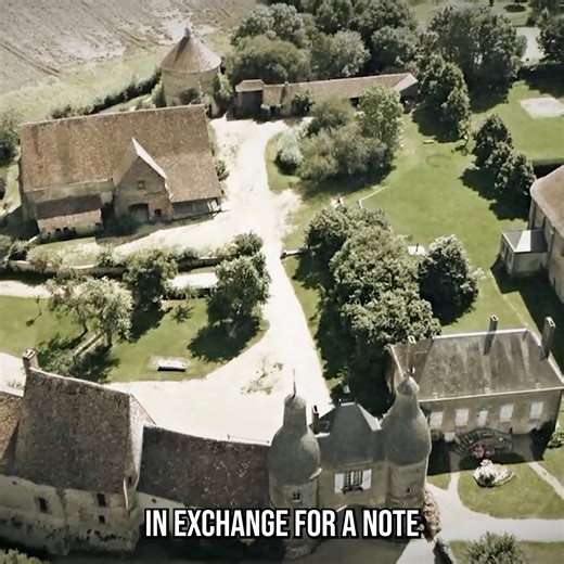 From Glory to Flames: The Rise and Fall of the Templars! | The Why Files