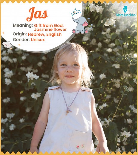 Jas Name Meaning, Origin, History, And Popularity
