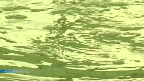 Relax River: Serene nature & calming water sounds for deep relaxation